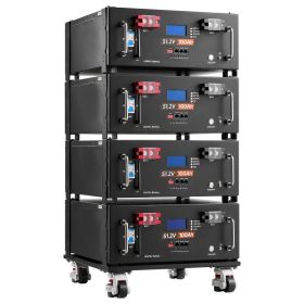 48V 100Ah LiFePO4 Lithium Battery, Built-in 100A BMS, 51.2V Server Rack LiFePO4 Battery With Bluetooth & Display, 5120Wh Capacity, 6000 Cycles, F (Option: Default)